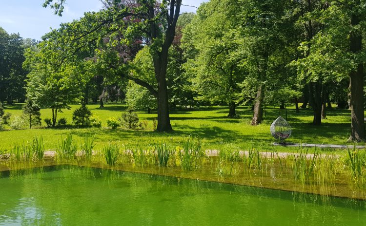 Hotel Dębowy Biowellness and SPA, Bielawa, Dolny Śląsk